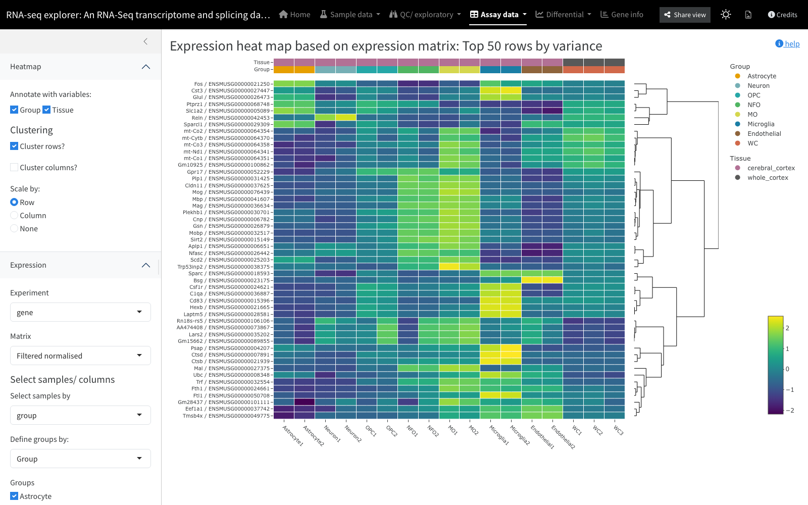 Expression heatmap of the top variable rows, clustered and scaled by row