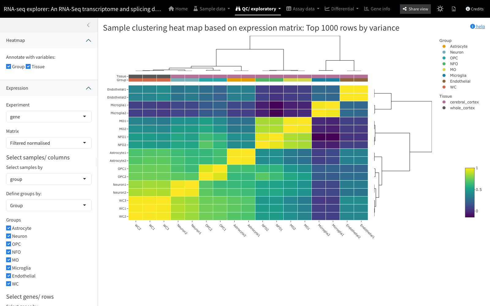 Sample-by-sample correlation heatmap with dendrogram and group/tissue annotation bars